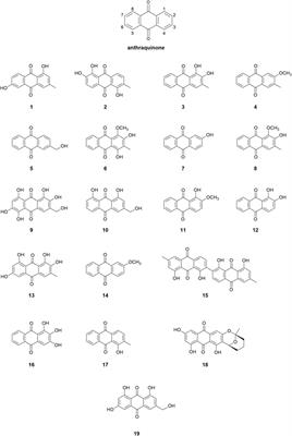 A structure-activity relationship analysis of anthraquinones with antifouling activity against marine biofilm-forming bacteria